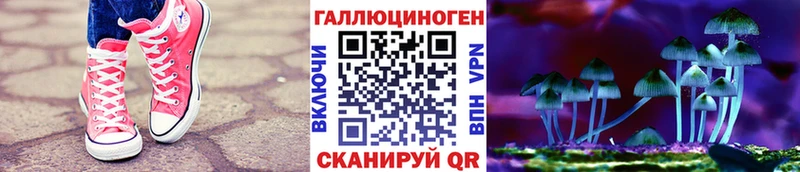 где купить наркоту  кракен ссылки  Псилоцибиновые грибы мухоморы  Анива 